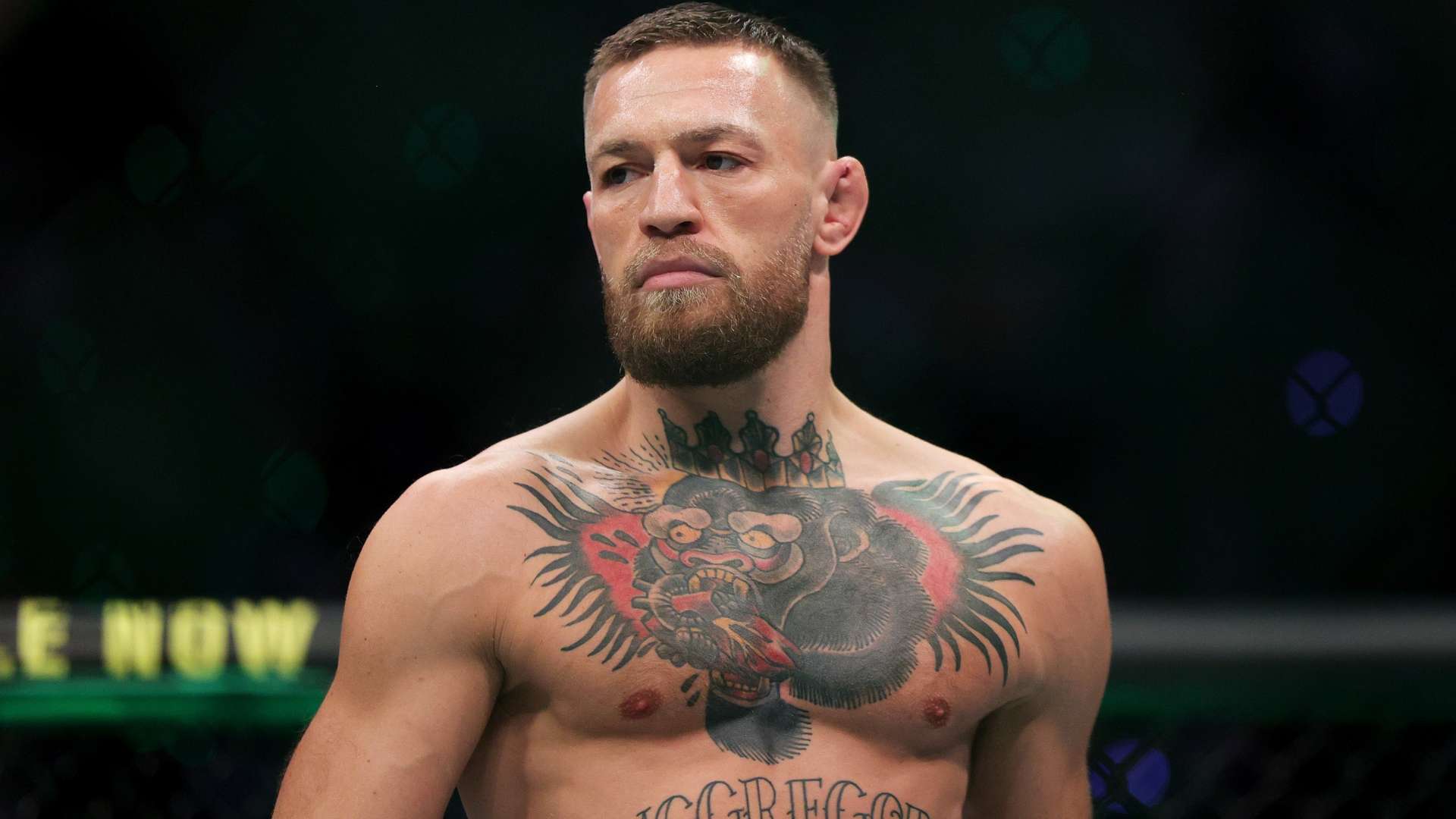 舞台上继续 舞台上继续