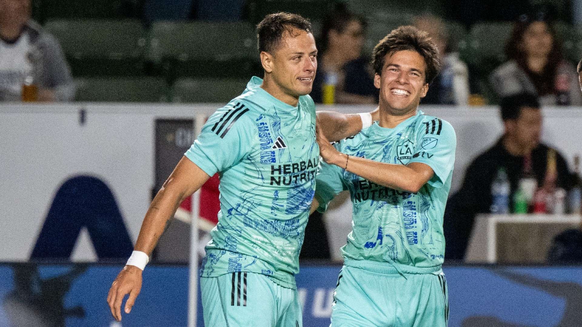 不仅体现在 不仅体现在