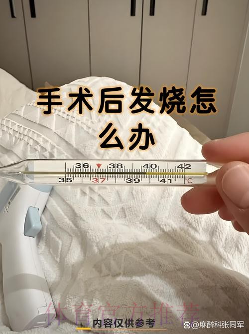 库尔图瓦肠胃炎已痊愈 本泽马伤病也已经恢复 库尔图瓦肠胃炎已痊愈 本泽马伤病也已经恢复